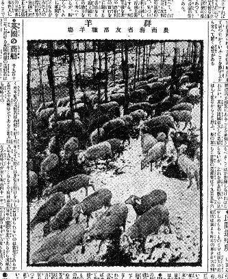 大正8年の新聞に載った日本の羊牧場