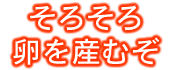 そろそろ卵を産むぞ