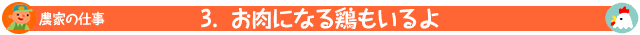 3.お肉になる鶏もいるよ