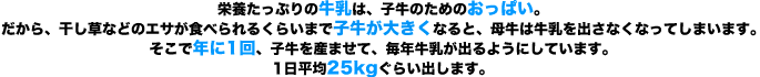 リード