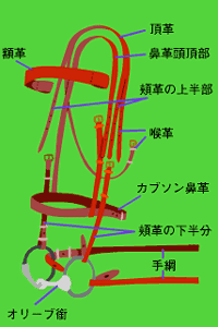 写真2