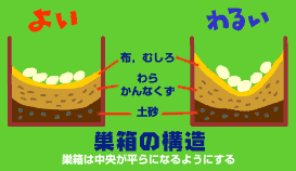 イラスト